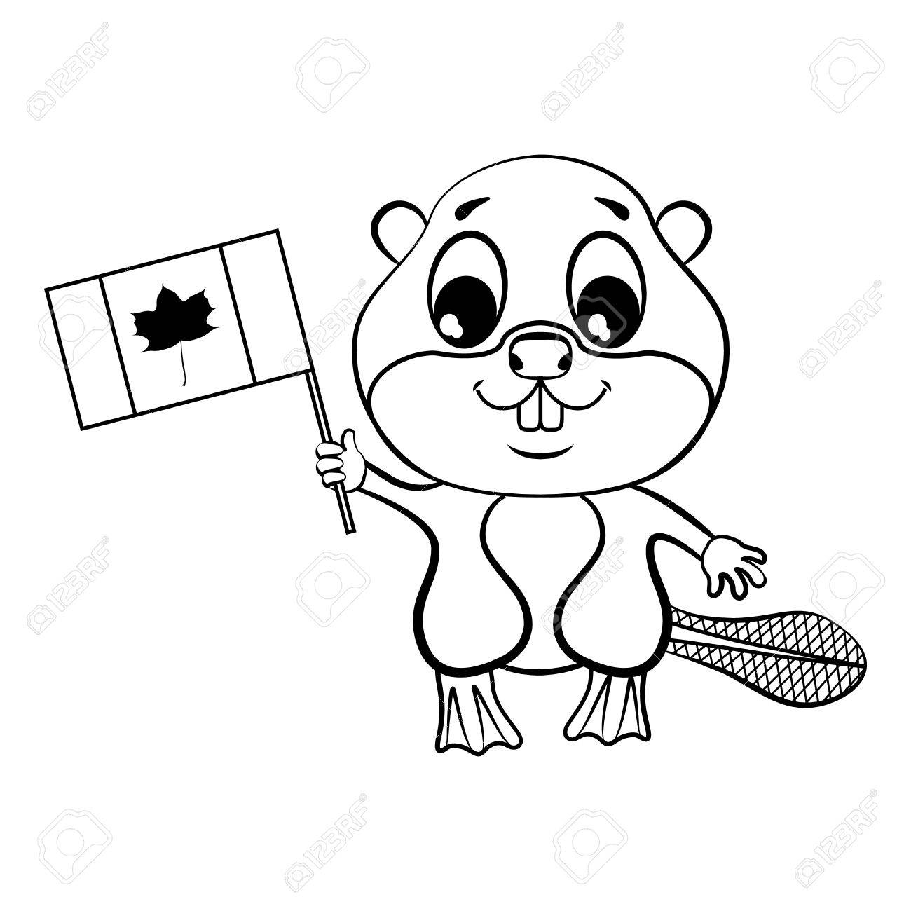 1300x1300 Beaver With Canadian Flag. Royalty Free Cliparts, Vectors,