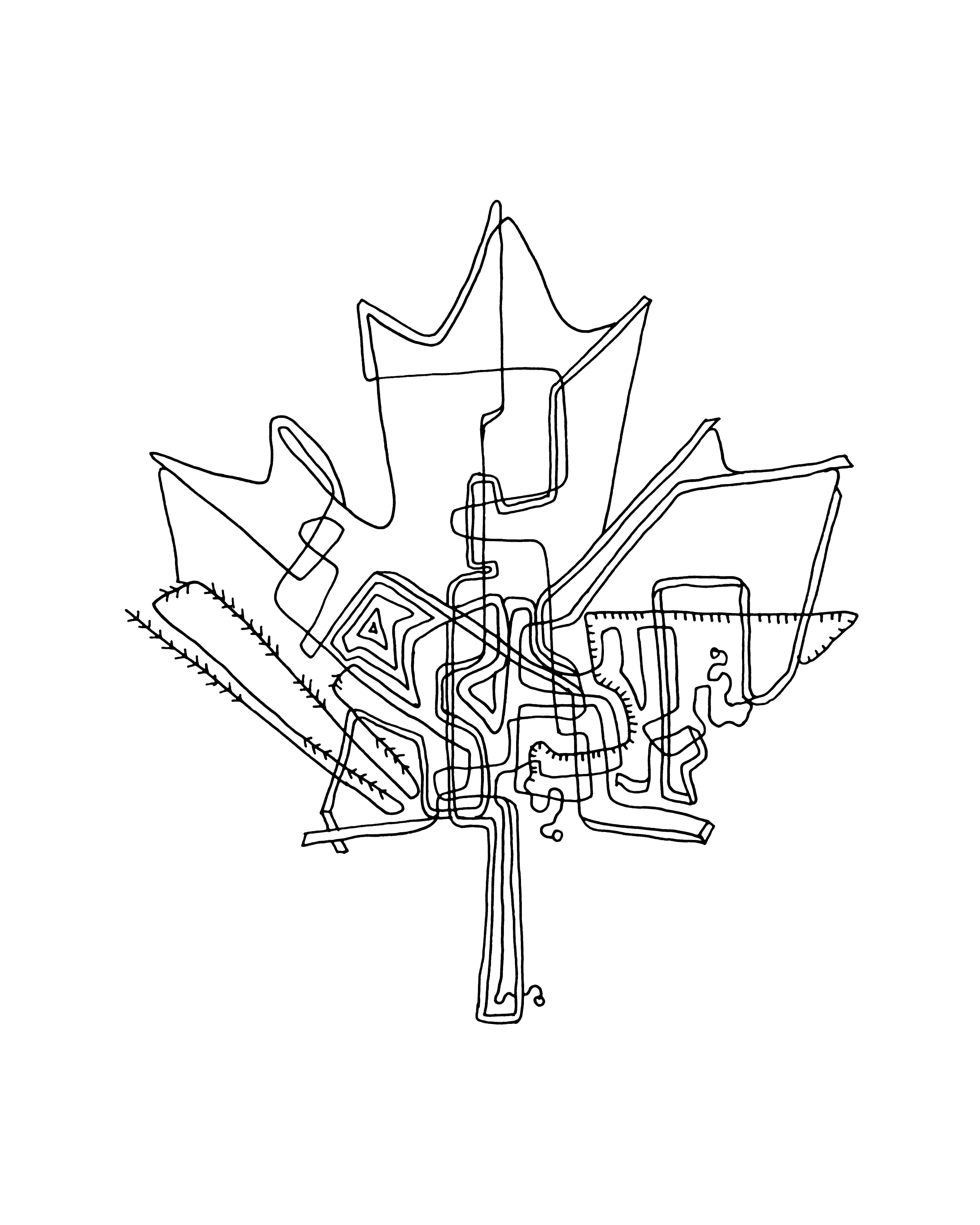 4800x6000 10,000 Pages Canadian Maple Leaf Colouring Page 5890