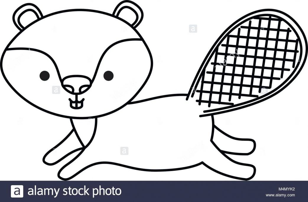 1043x685 Two Beavers Holding Canada Flag On Day Coloring Pages Flowers