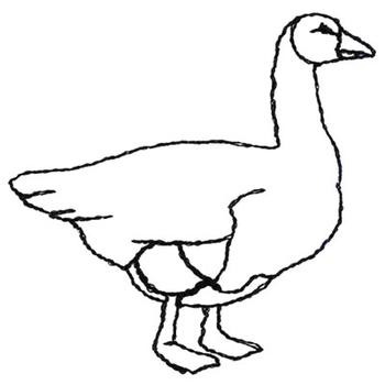 350x350 Canadian Goose Outline