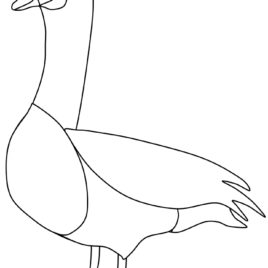 268x268 Coloring Pages Of Canadian Animals Archives