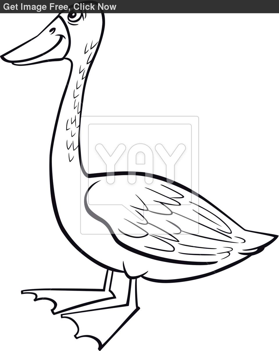 961x1210 Funny Canada Geese Clipart