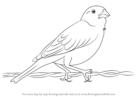 267x189 Image Result For Canadian Geese Color Me Beautiful