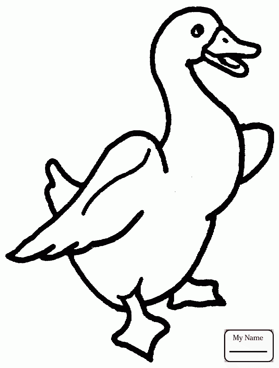 904x1192 Coloring Pages Canada Goose Gooses Birds