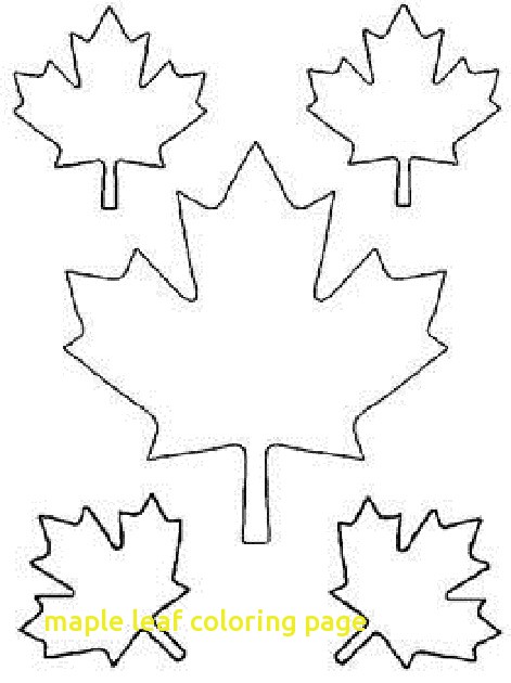 471x630 Maple Leaf Coloring Page Coloringpageforkids.co