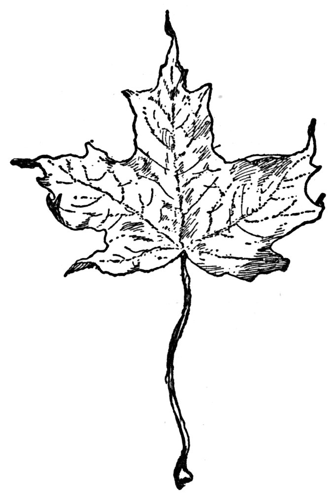 680x1013 The Devil's Artisan Dingbats