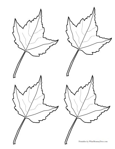 401x520 Drawn Maple Leaf Small