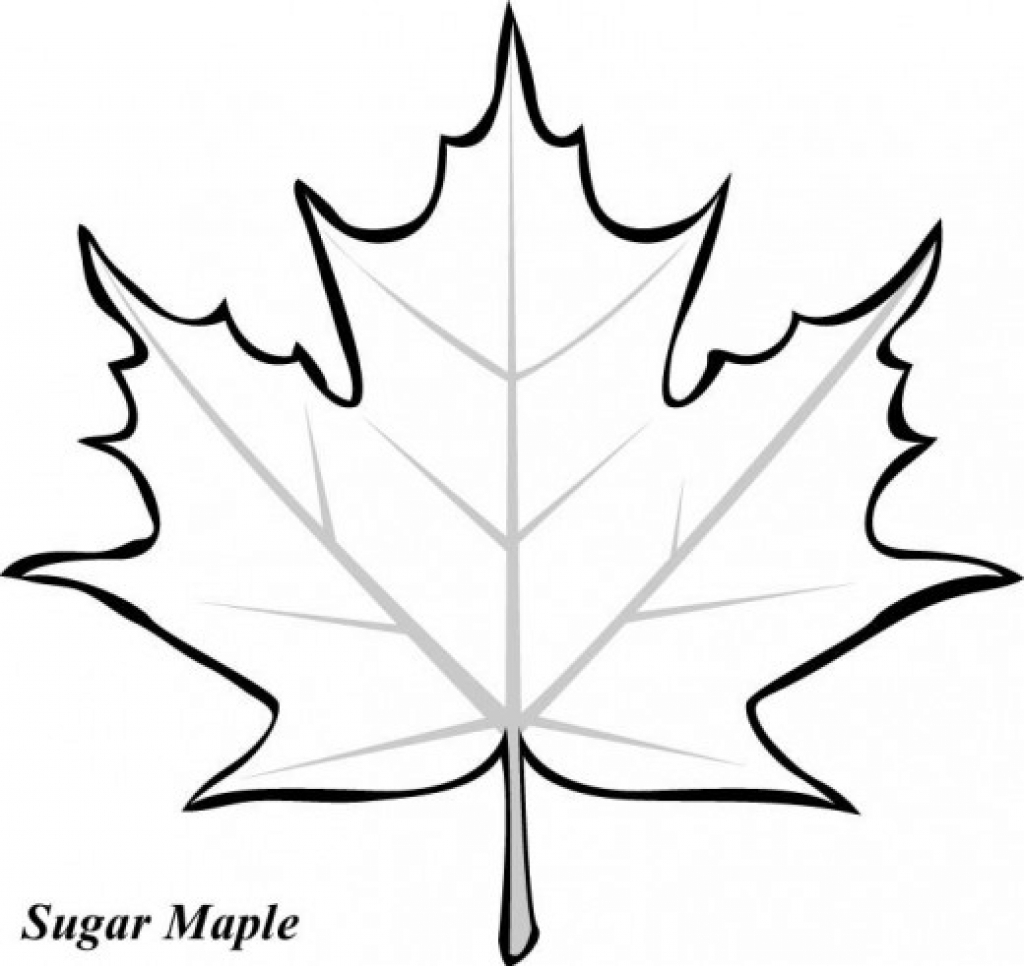 1024x966 Leaves Coloring Pages