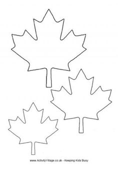 236x338 Maple Leaf Template International Ideas For Girl Scouts