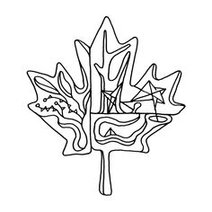 236x236 Canadian Maple Leaf Colouring Page With Abstract Drawing In Mind