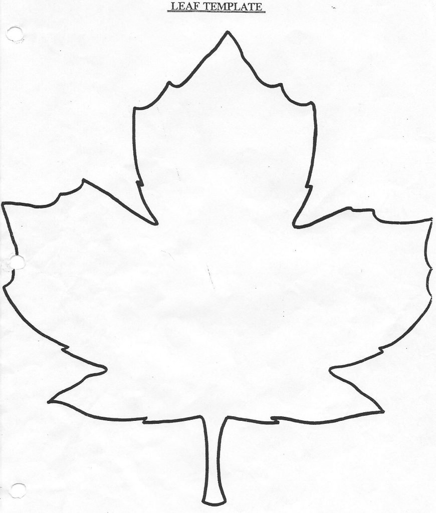 870x1024 Drawing Of A Maple Leaf