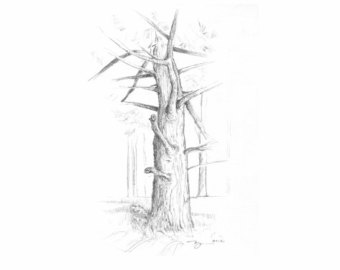 340x270 Tree Pencil Drawing Etsy