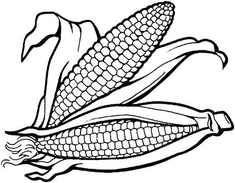 461x360 Corn Coloring Pages Printable Corn Coloring Page Printable Candy