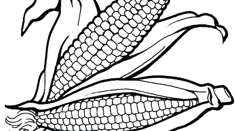 770x430 Corn Coloring Pages Printable Corn Coloring Pages Printable Free