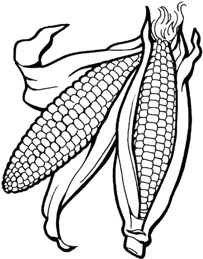 665x846 Corn Coloring Pages Cortefocal.site