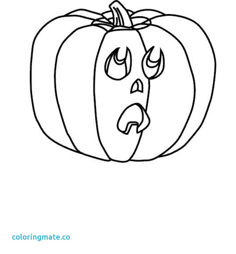 790x850 Free Printable Pumpkin Coloring Pages New Learn And Grow Designs