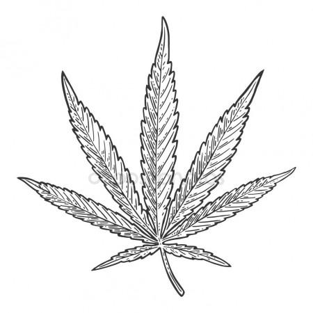 450x450 Marijuana Leaf. Vintage Black Vector Engraving Illustration