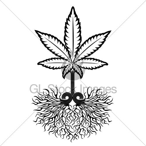 500x500 Marijuana Cannabis Leaf Symbol Vector Illustration Gl Stock Images