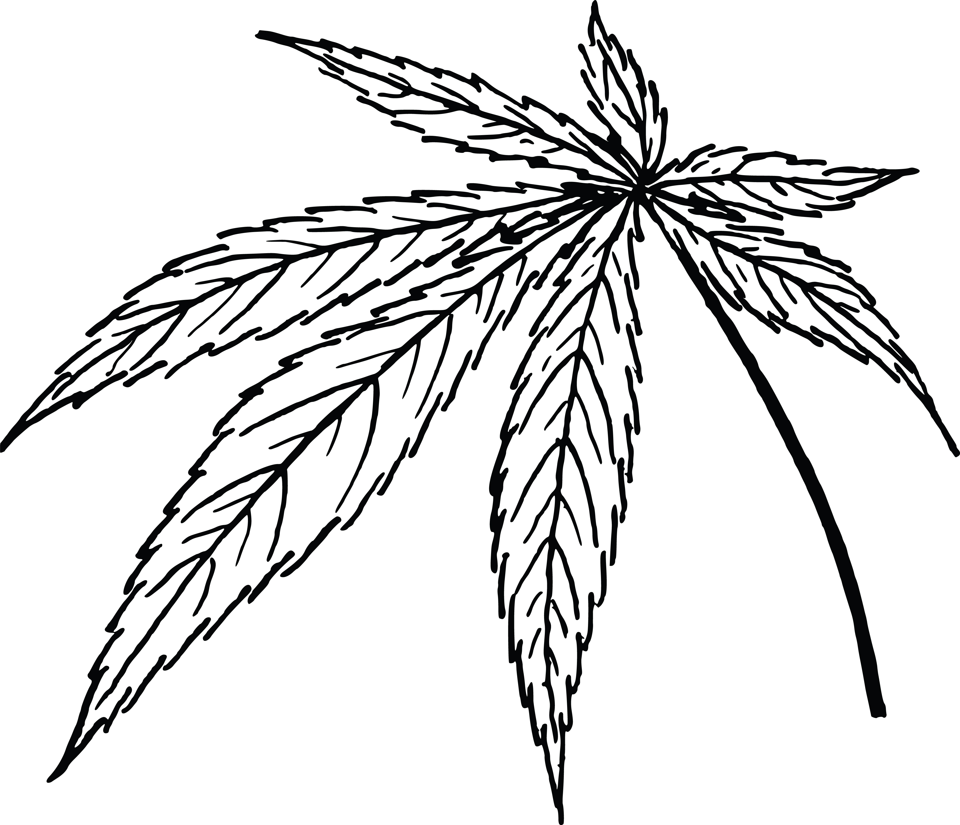 4000x3438 Clipart Of A Cannabis Leaf