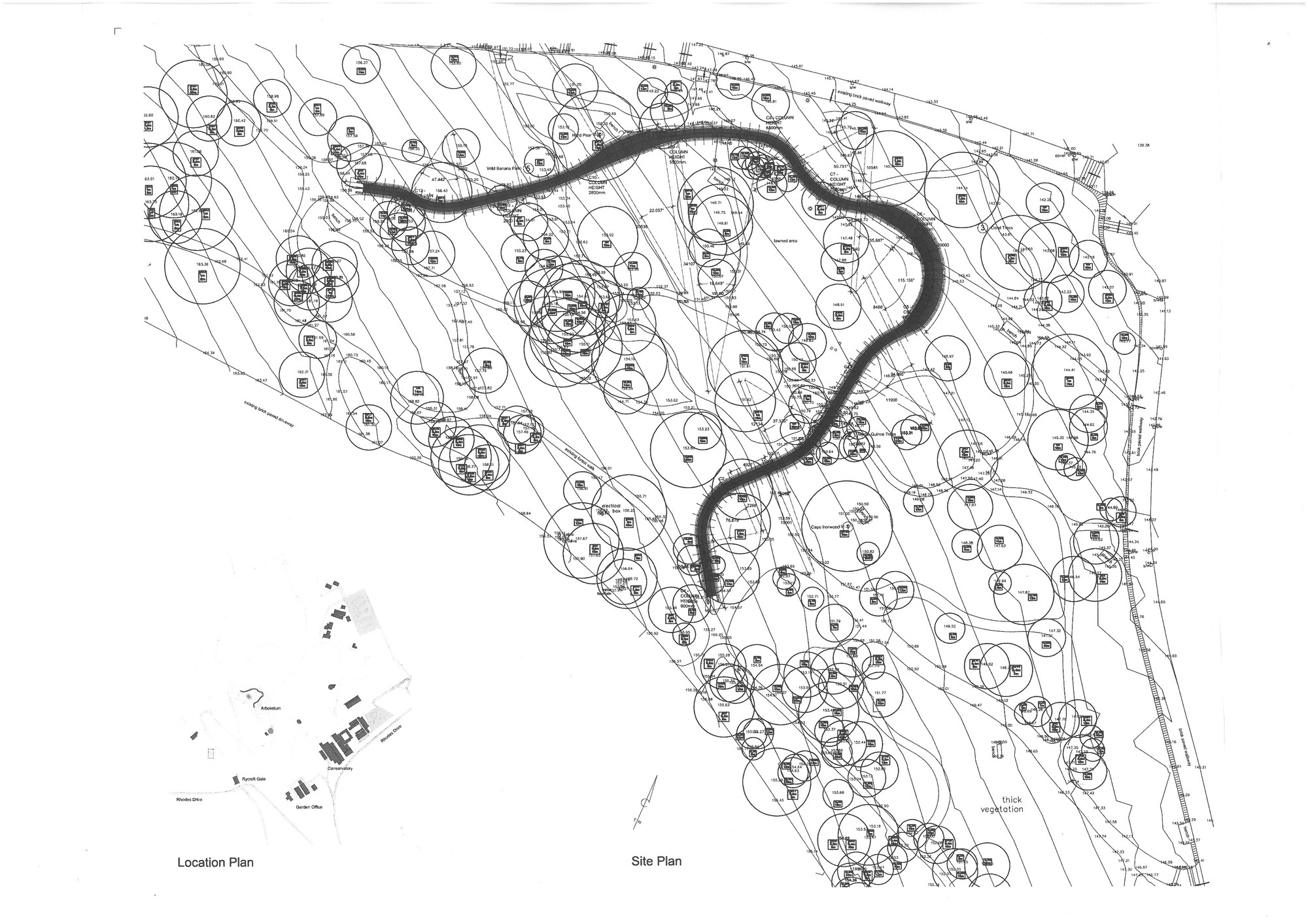 2000x1414 Gallery Of Kirstenbosch Centenary Tree Canopy Walkway Mark