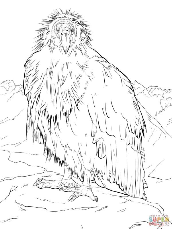 600x800 Grand Canyon Clipart Black And White