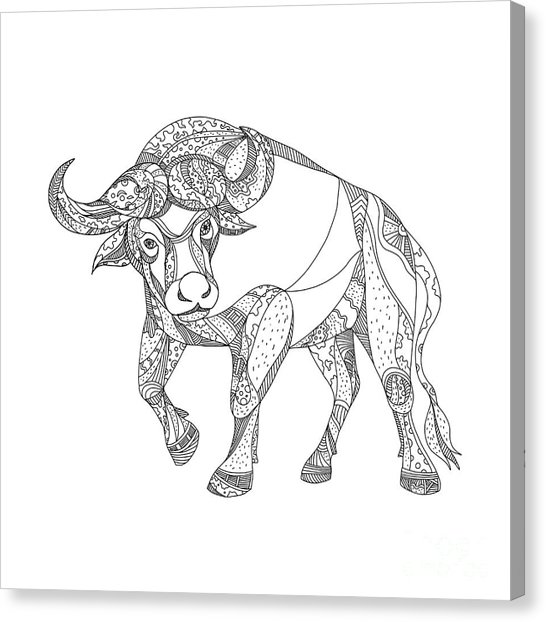 546x622 Cape Buffalo Art