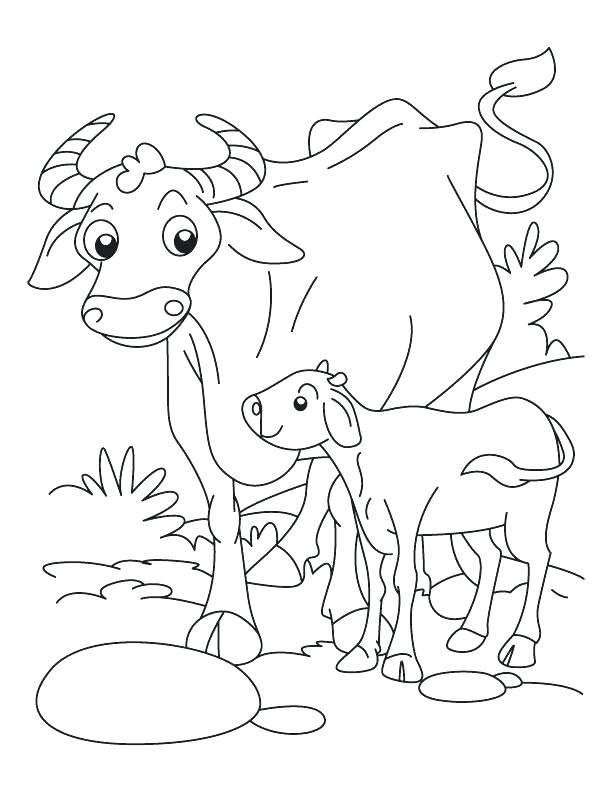 Cape Buffalo Drawing at GetDrawings | Free download