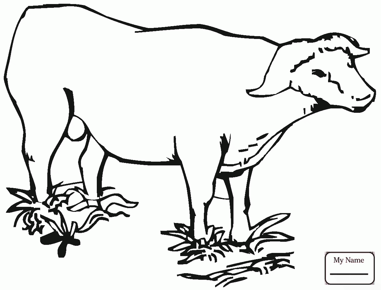 1224x931 Coloring Pages For Kids Mammals African Buffalo Cape Buffalo