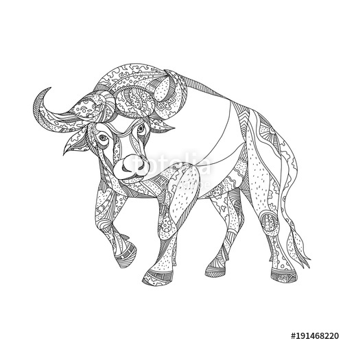 500x500 African Buffalo Charging Doodle Stock Image And Royalty Free