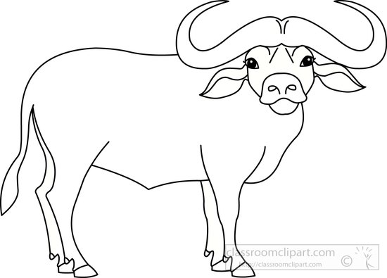 550x395 Animals Clipart Buffalo Black White Outline Clipart 72088