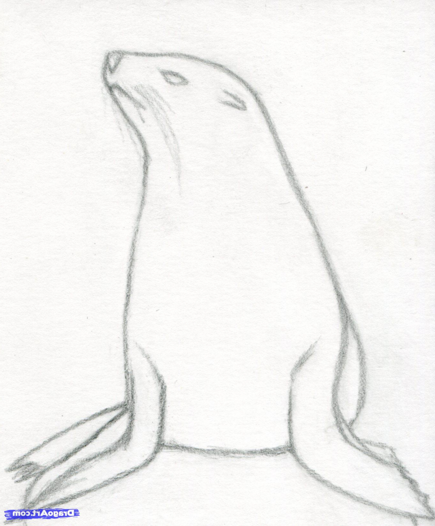 847x1024 Simple Realistic Drawings Best Eye Drawing Tutorials Ideas