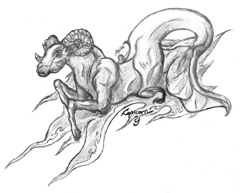 800x631 Capricorn By Ornate Serpent