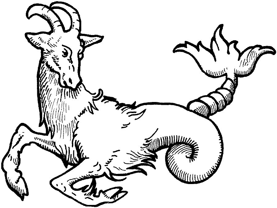 900x677 The Capricorn Goat