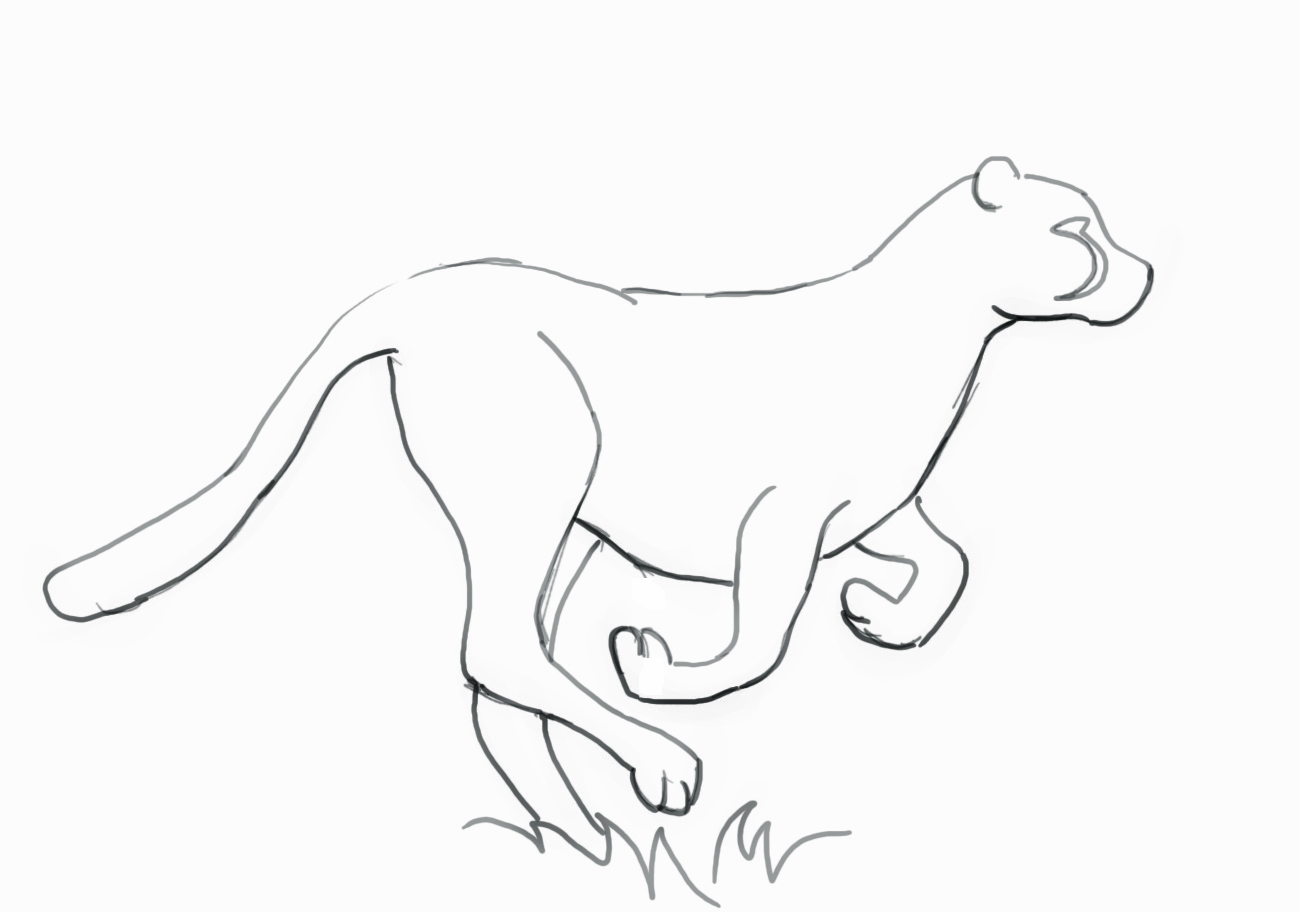 1300x912 How To Draw A Cheetah