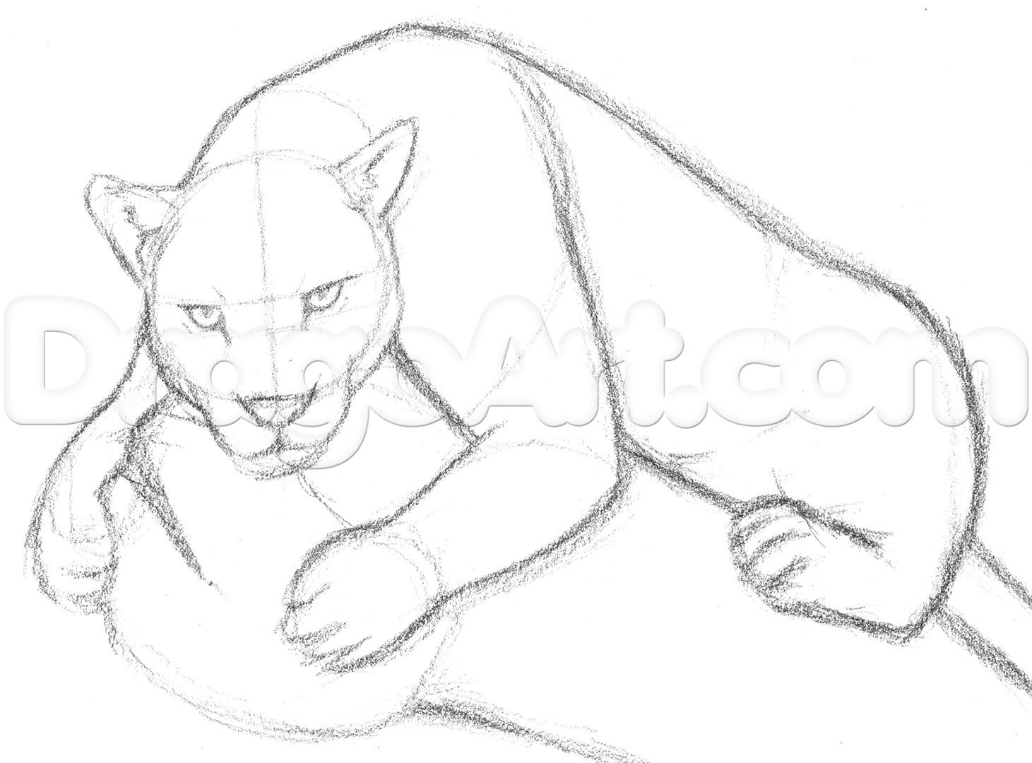 1461x1080 Drawn Jaguar