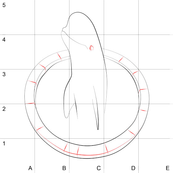 560x560 How To Draw 3d Drawing Of A Dolphin In The Pool Step By Step