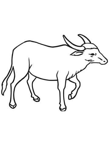360x480 Wild Asian Water Buffalo Coloring Page Free Printable Coloring Pages