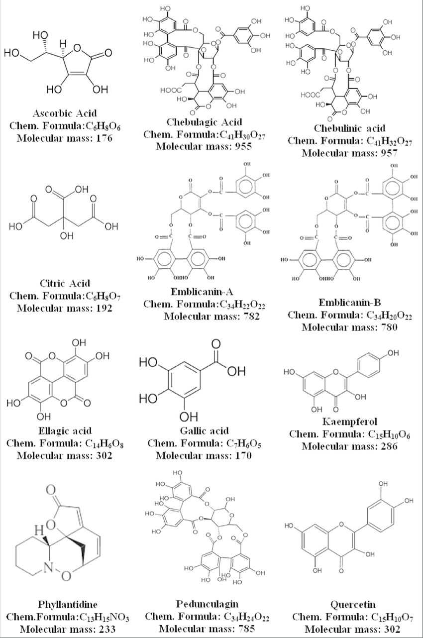 850x1282 Chemical Constituents Present In Emblica Officinalis (Amla