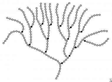 380x279 Biological Molecules Carbohydrates Tlamjs