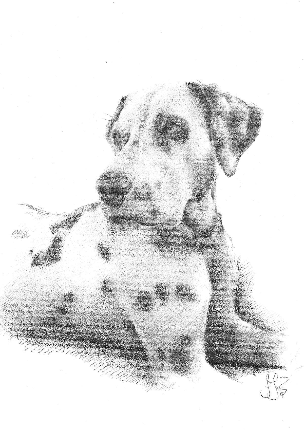 1200x1697 Drawings Jenny Joice