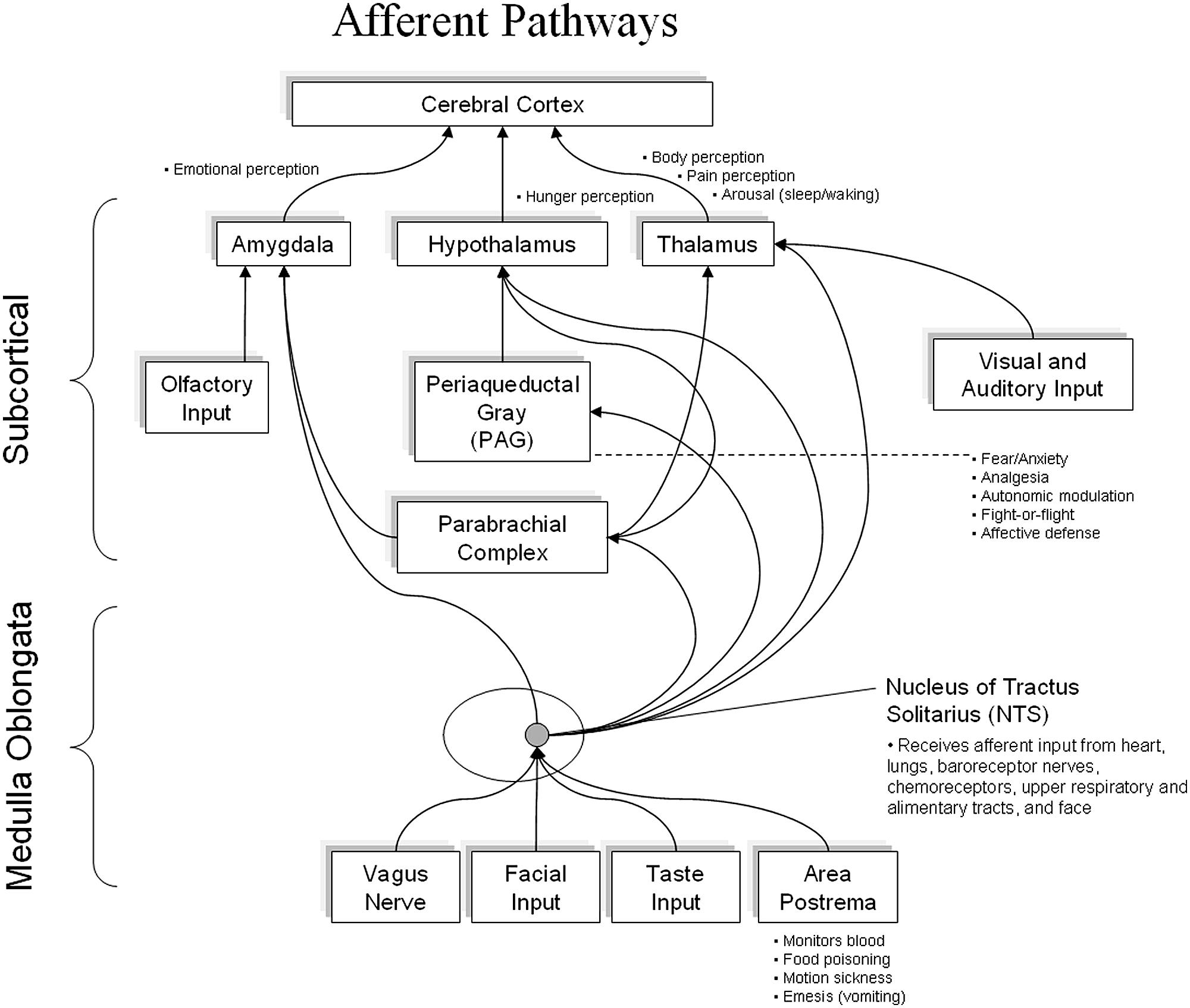 2000x1696 Frontiers Cardiac Coherence, Self Regulation, Autonomic