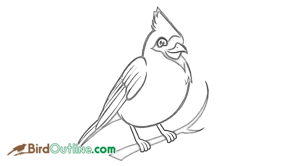 Cardinal Bird Drawing at GetDrawings | Free download