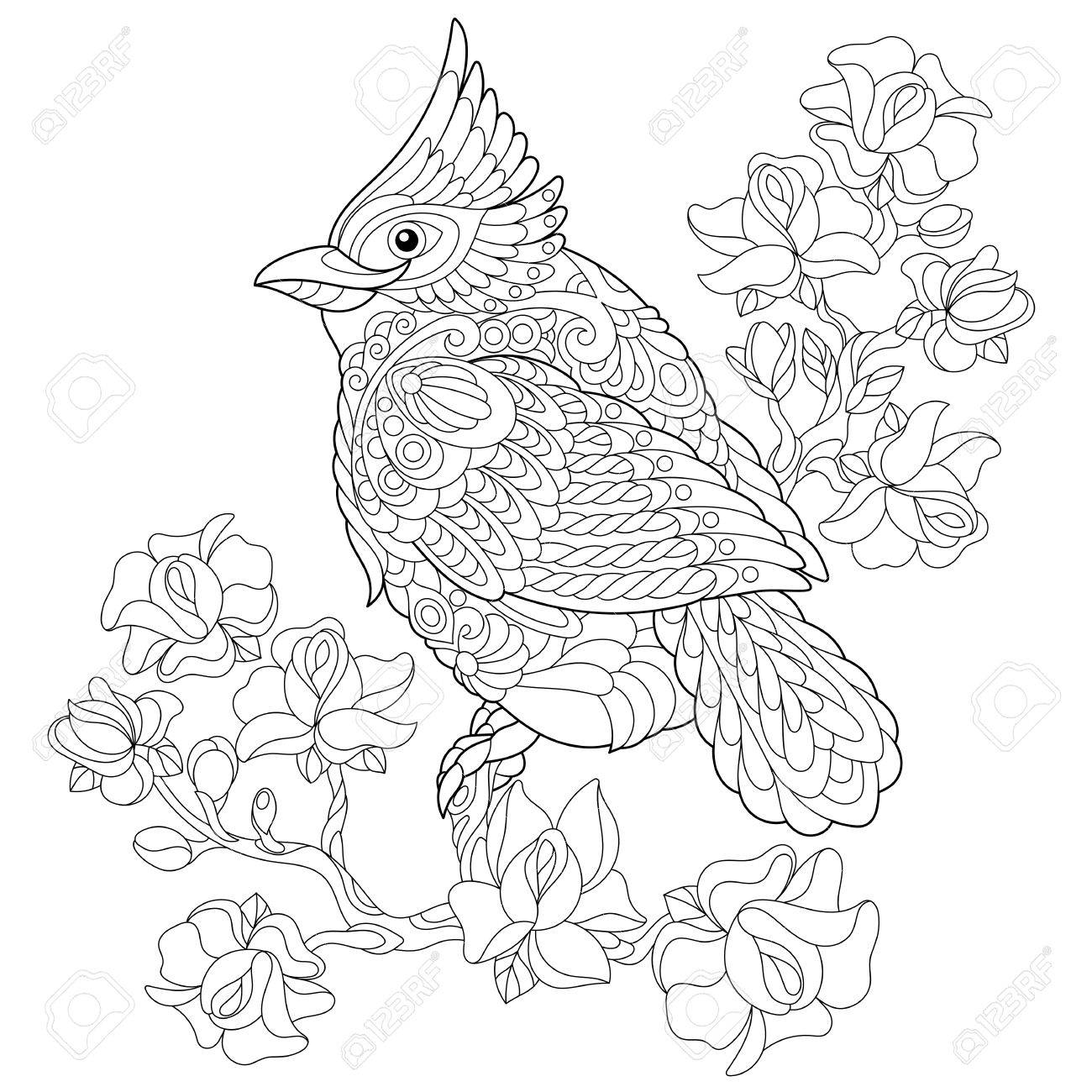 1300x1300 Coloring Book Page Of Northern Red Cardinal Bird Sitting On Cherry