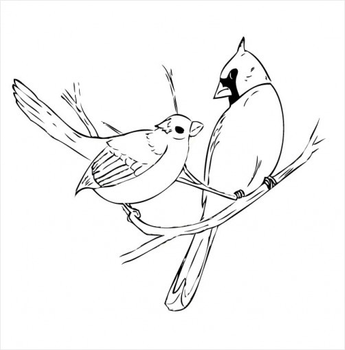 502x509 Cardinal Pair Drawing Redgage