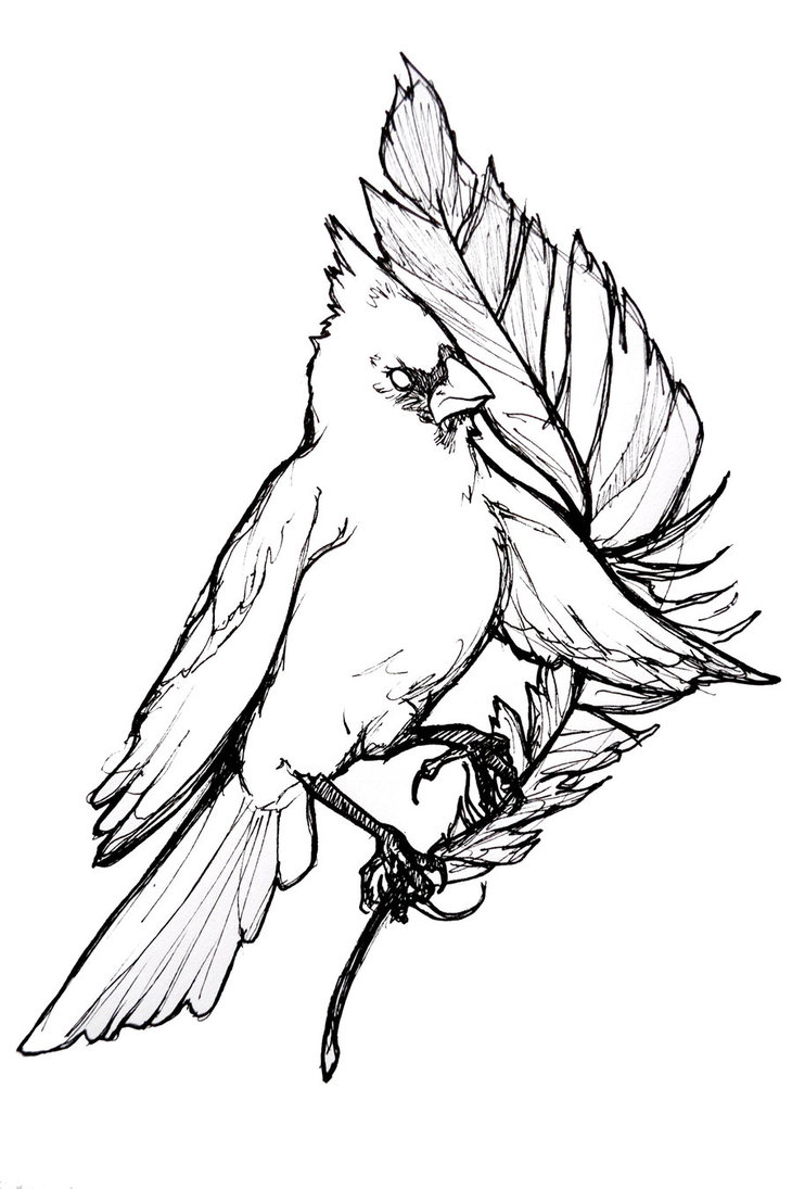 730x1095 Cardinal Tattoo Concept By Aphexnoir