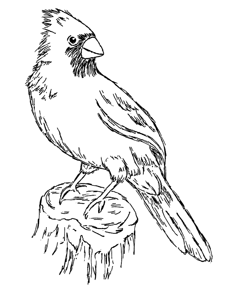 765x937 Cardinal Wood Mount Stamp M1 10311j