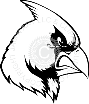 309x361 Cardinal Head Profile