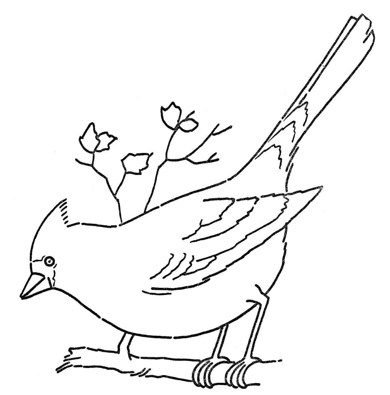 1247x1264 Coloring Pages Getcoloringpagescom Set Vector Swallows