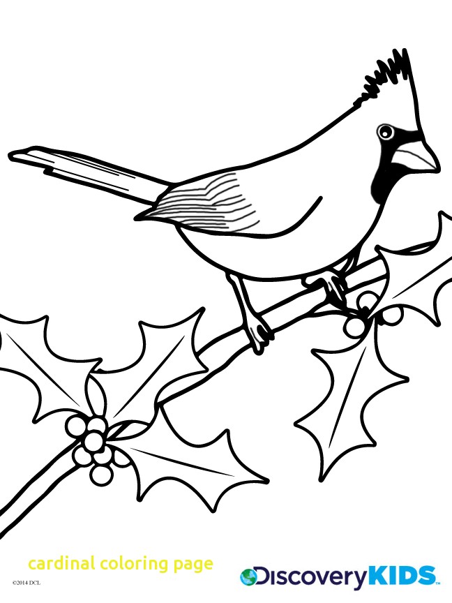 648x864 Cardinal Coloring Page