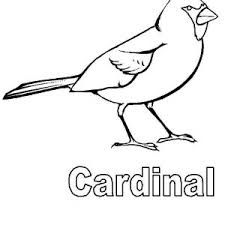225x225 Image Result For Cardinal Line Drawings Bird Patterns